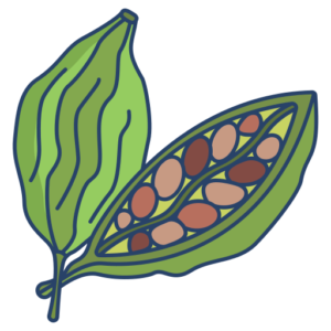 Cardamom